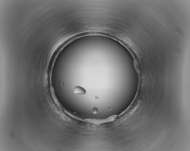 X0000110950928200906261318