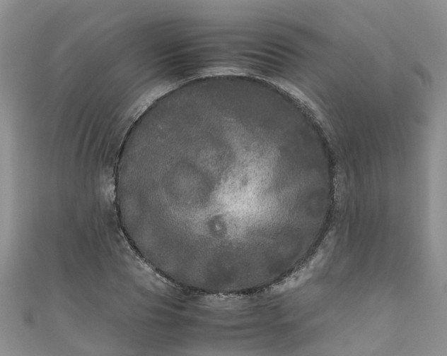 X0000110950929200906261318