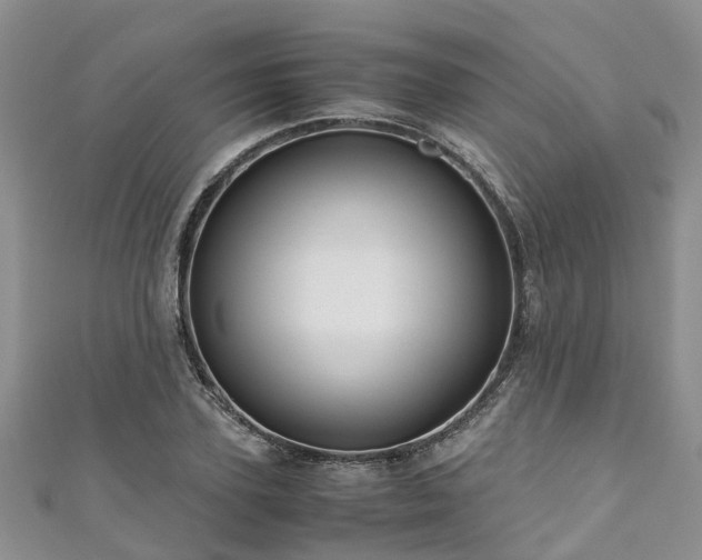 X0000110950931200906261318