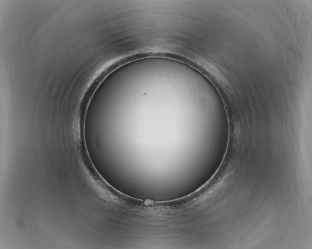 X0000110950934200906261318