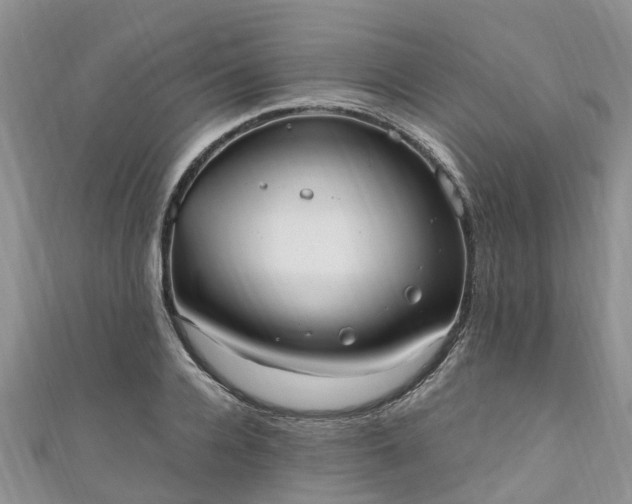 X0000110950936200906261318