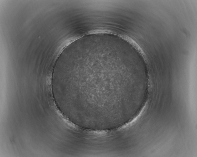 X0000110950937200906261318