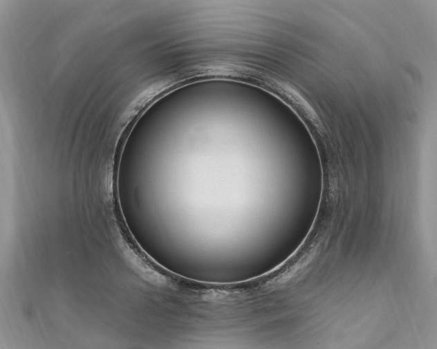 X0000110950938200906261318