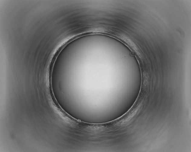 X0000110950939200906261318