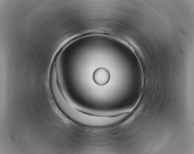 X0000110950940200906261318