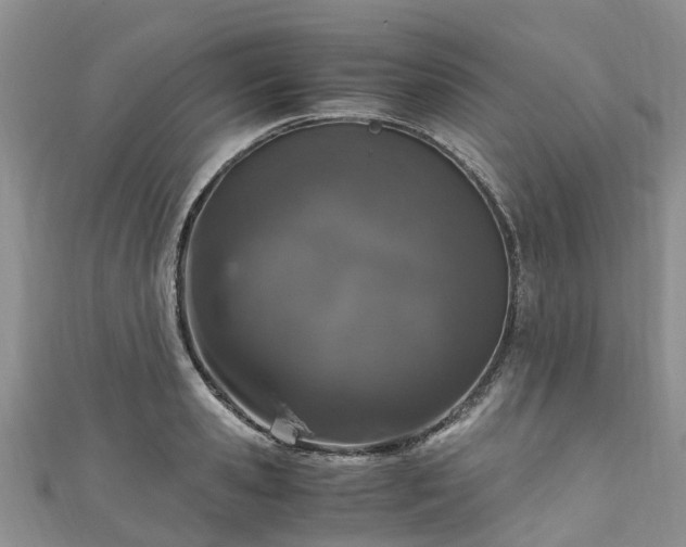 X0000110950941200906261318