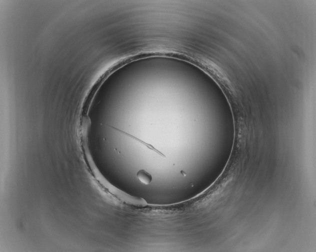 X0000110950942200906261318