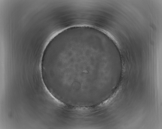X0000110950943200906261318