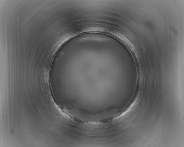 X0000110950945200906261318