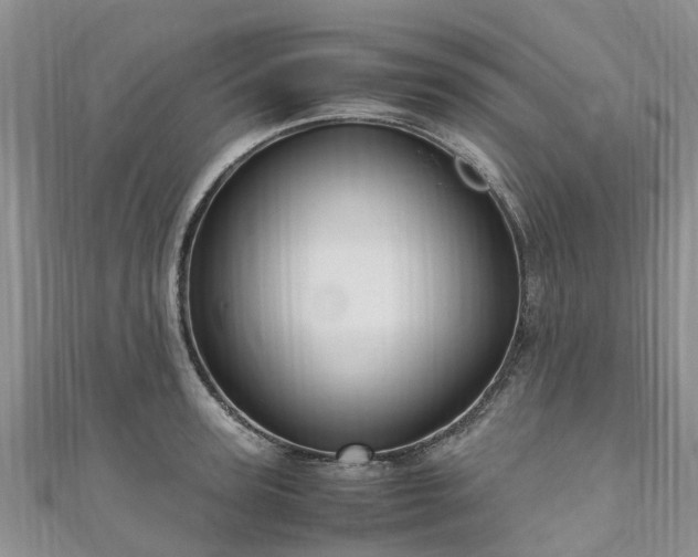 X0000110950947200906261318