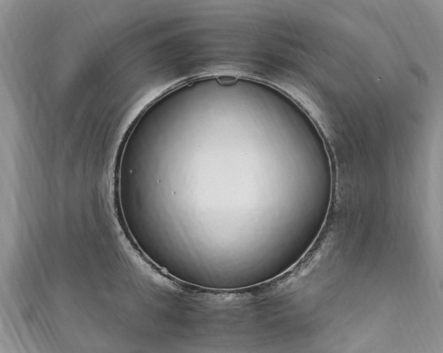 X0000110950949200906261318