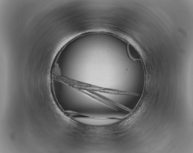 X0000110950951200906261318