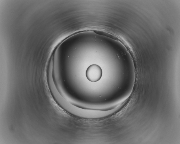 X0000110950952200906261318