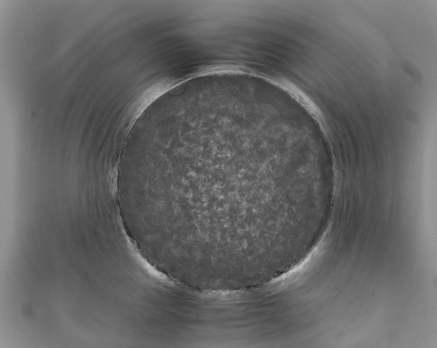 X0000110950953200906261318