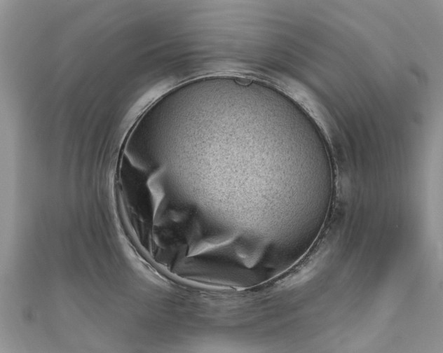 X0000110950954200906261318