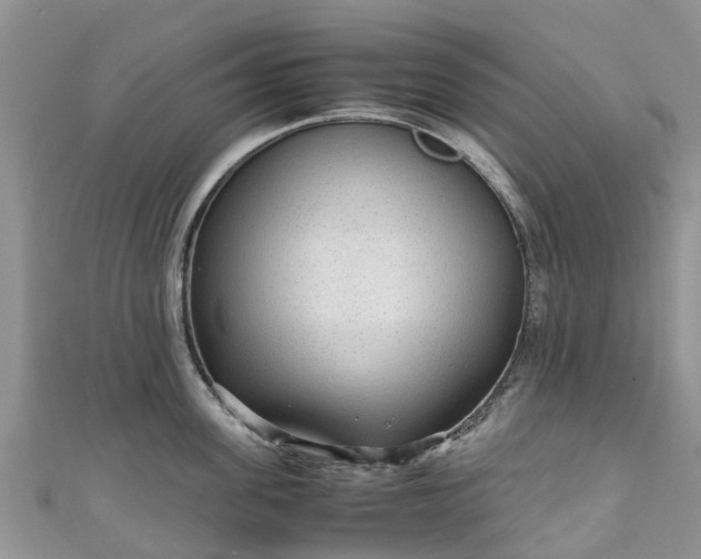 X0000110950955200906261318