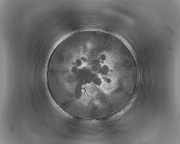 X0000110950957200906261318