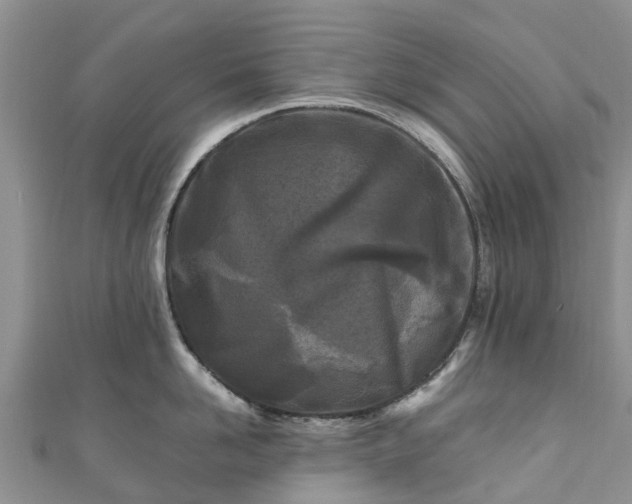 X0000110950958200906261318