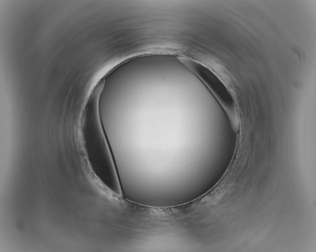 X0000110950960200906261318