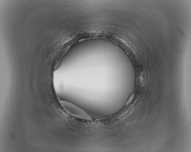 X0000110950961200906261317