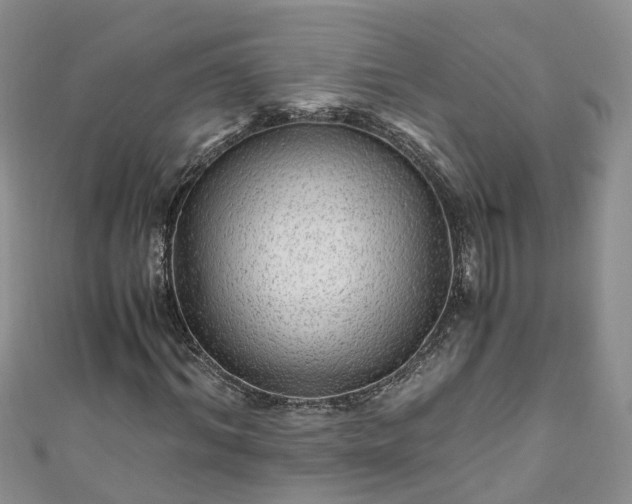 X0000110950964200906261317