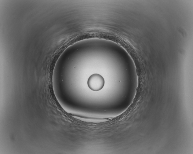 X0000110950965200906261317