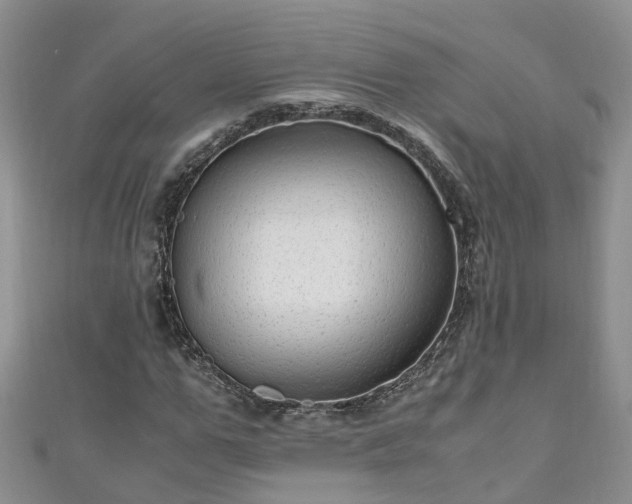 X0000110950967200906261317
