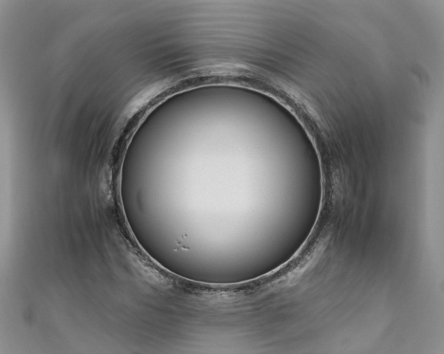 X0000110950970200906261317