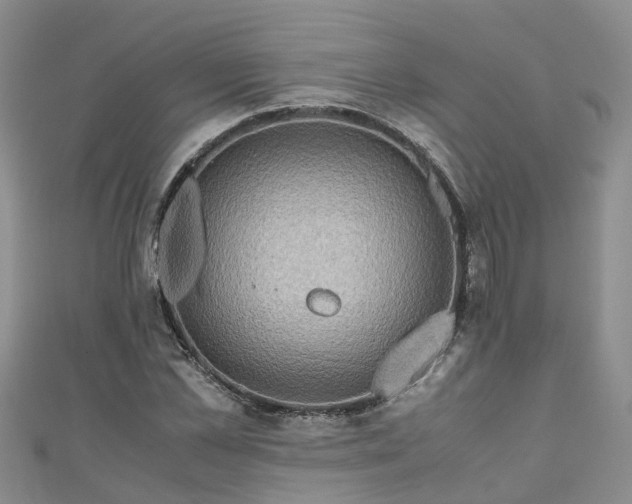 X0000110950973200906261317