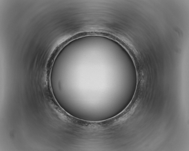 X0000110950974200906261317