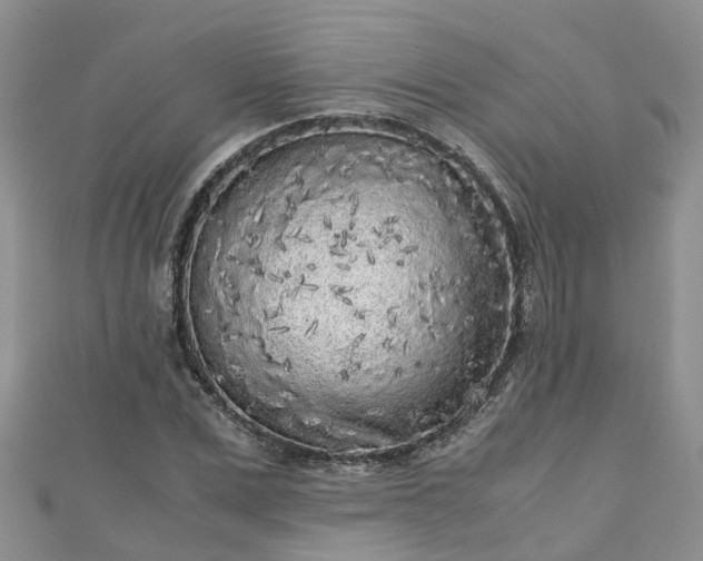X0000110950975200906261317