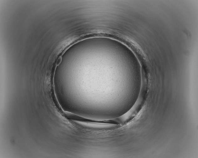X0000110950977200906261317