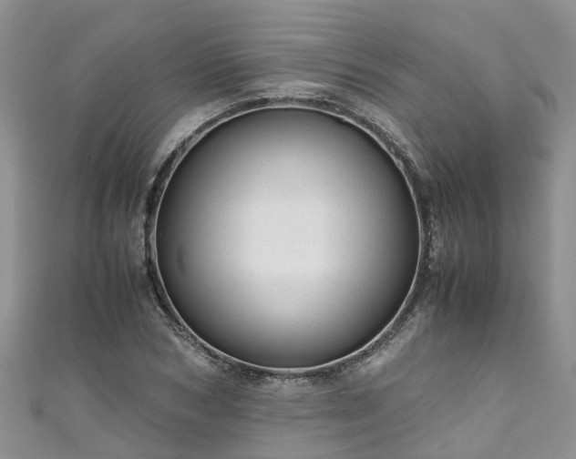 X0000110950978200906261317