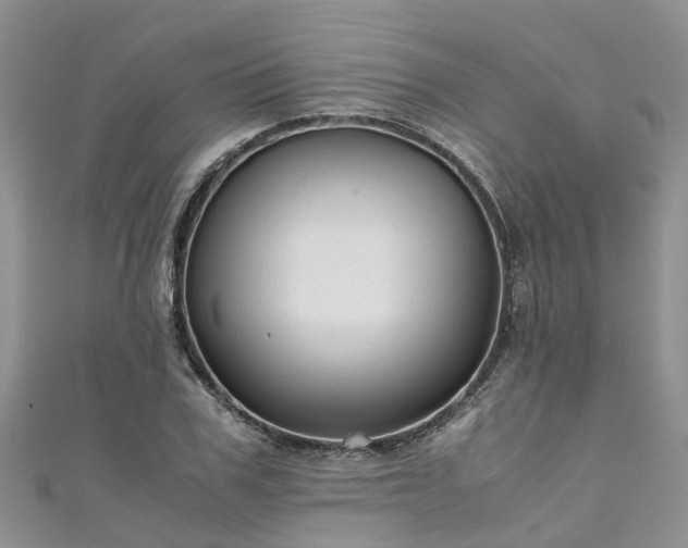X0000110950979200906261317