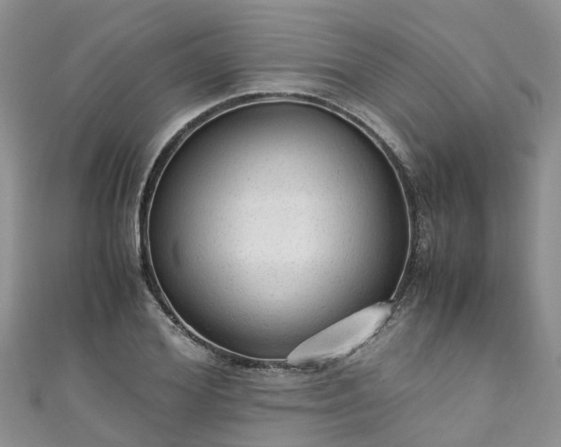 X0000110950980200906261317