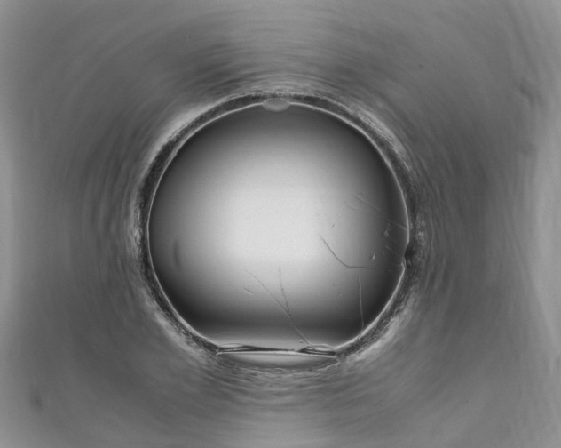 X0000110950981200906261317