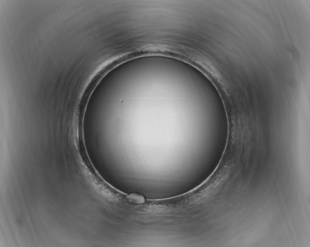 X0000110950984200906261317