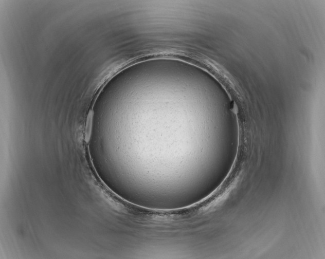 X0000110950985200906261317
