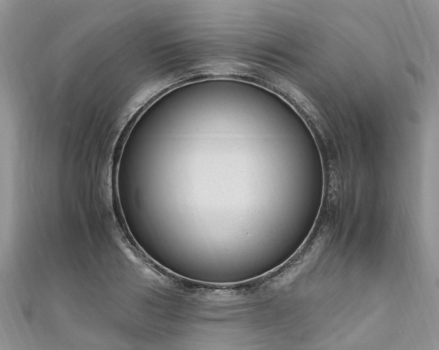 X0000110950986200906261317