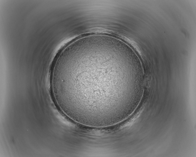 X0000110950987200906261317