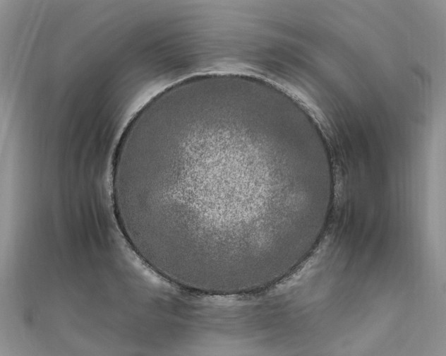 X0000110950990200906261317