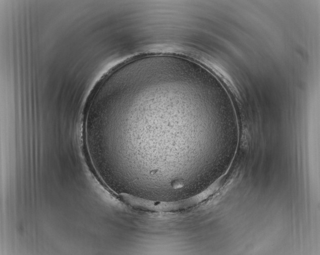 X0000110950992200906261317