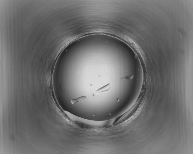 X0000110950993200906261317