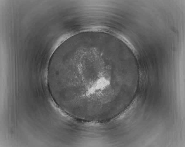 X0000110950994200906261317