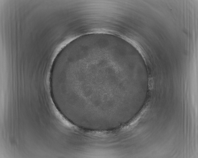 X0000110950995200906261317