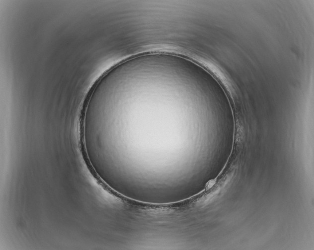 X0000110950999200906261317