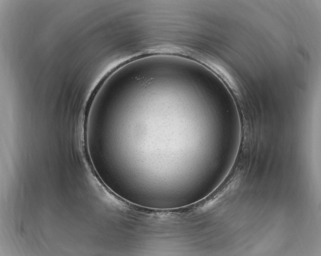 X0000110951000200906261317