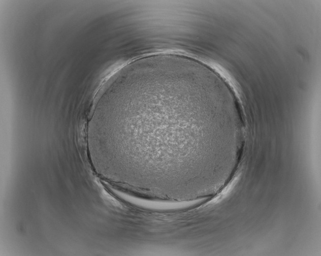 X0000110951001200906261317