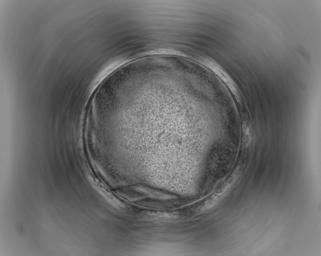 X0000110951002200906261317
