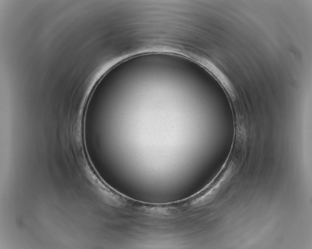 X0000110951004200906261317